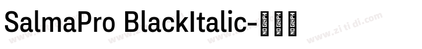 SalmaPro BlackItalic字体转换 SalmaPro BlackItalic字体转换